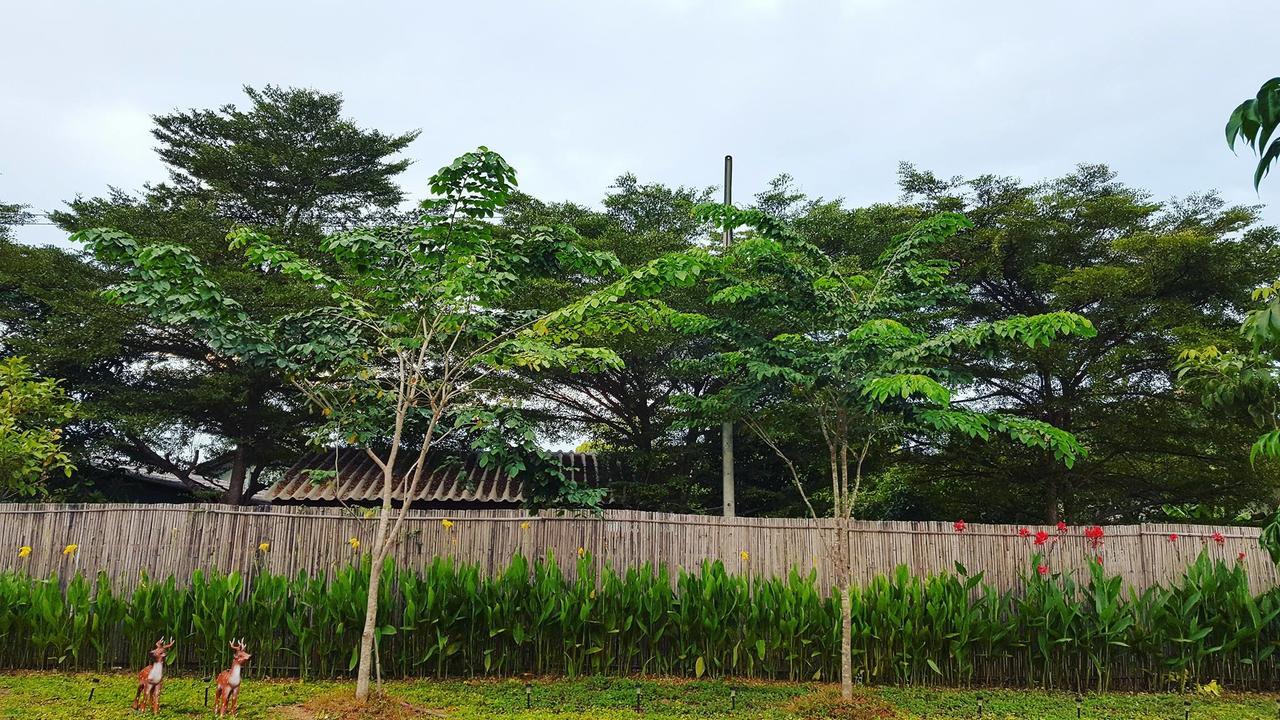 บ้านสวนมีดี ลำพูน Meedee Homestay Lamphun Ban Nong Pla Kho Eksteriør bilde