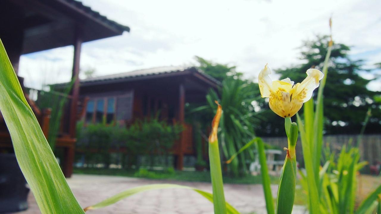 บ้านสวนมีดี ลำพูน Meedee Homestay Lamphun Ban Nong Pla Kho Eksteriør bilde