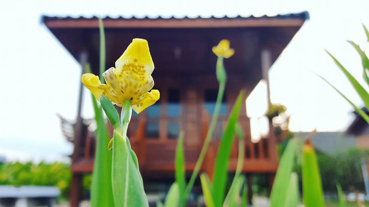 บ้านสวนมีดี ลำพูน Meedee Homestay Lamphun Ban Nong Pla Kho Eksteriør bilde
