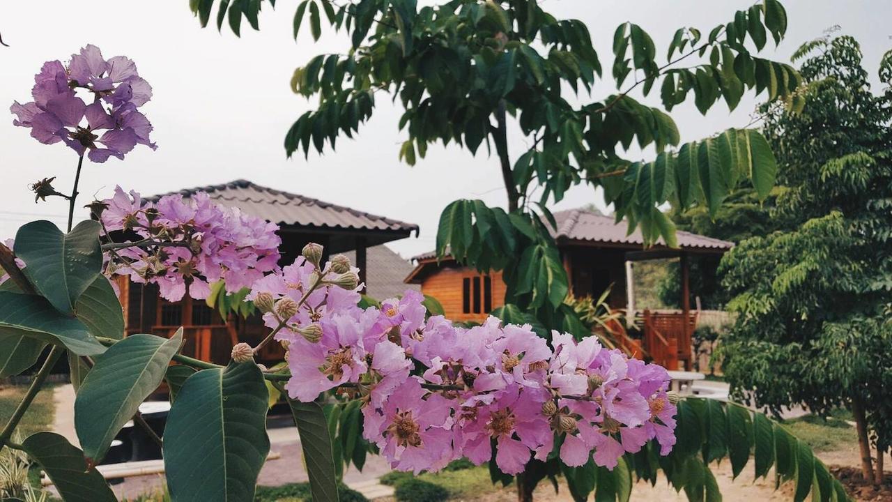 บ้านสวนมีดี ลำพูน Meedee Homestay Lamphun Ban Nong Pla Kho Eksteriør bilde