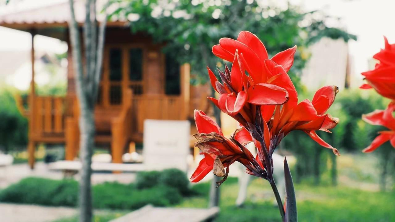 บ้านสวนมีดี ลำพูน Meedee Homestay Lamphun Ban Nong Pla Kho Eksteriør bilde
